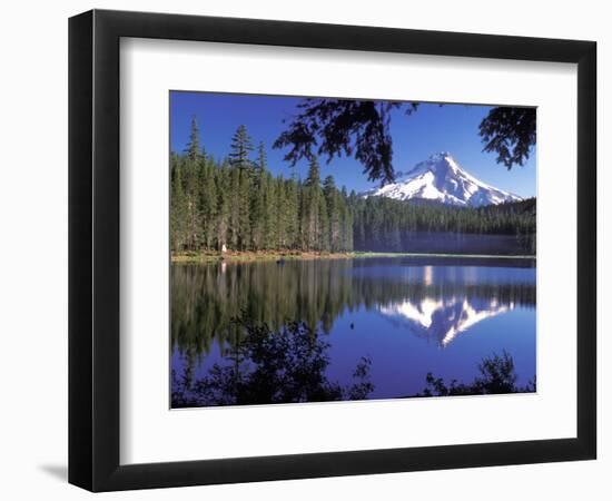 Mt. Hood Reflected in Frog Lake, Oregon, USA-Janis Miglavs-Framed Photographic Print