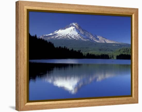 Mt. Hood Reflected in Trillium Lake, Oregon, USA-Jamie & Judy Wild-Framed Premier Image Canvas