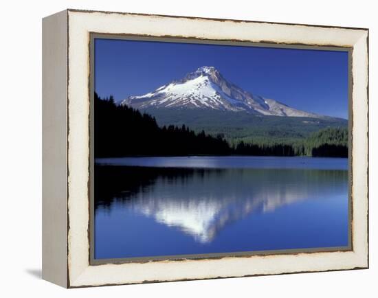 Mt. Hood Reflected in Trillium Lake, Oregon, USA-Jamie & Judy Wild-Framed Premier Image Canvas