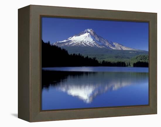 Mt. Hood Reflected in Trillium Lake, Oregon, USA-Jamie & Judy Wild-Framed Premier Image Canvas