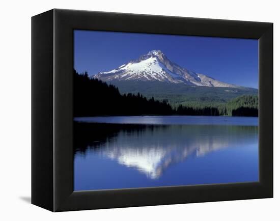 Mt. Hood Reflected in Trillium Lake, Oregon, USA-Jamie & Judy Wild-Framed Premier Image Canvas