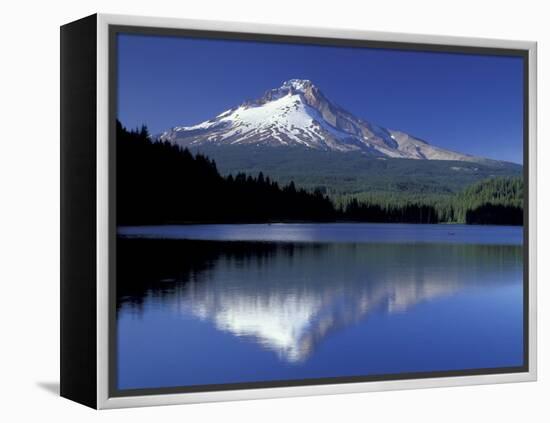 Mt. Hood Reflected in Trillium Lake, Oregon, USA-Jamie & Judy Wild-Framed Premier Image Canvas