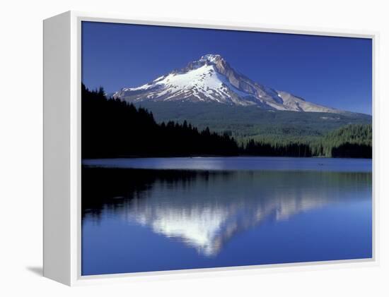 Mt. Hood Reflected in Trillium Lake, Oregon, USA-Jamie & Judy Wild-Framed Premier Image Canvas