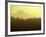 Mt. Hood Sunrise from Lake Oswego, Portland, Oregon, USA-Janis Miglavs-Framed Photographic Print