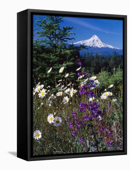 Mt. Hood V-Ike Leahy-Framed Premier Image Canvas