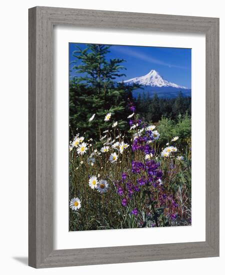 Mt. Hood V-Ike Leahy-Framed Photographic Print