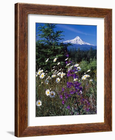 Mt. Hood V-Ike Leahy-Framed Photographic Print