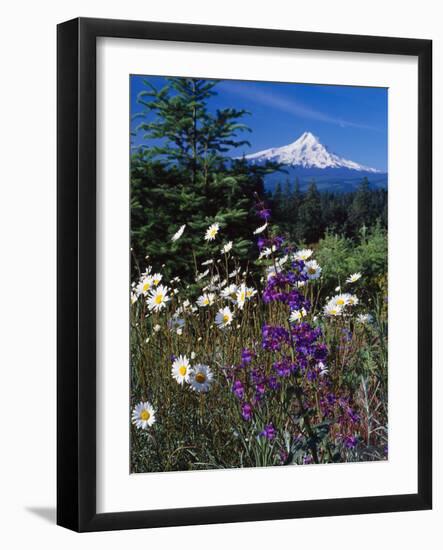 Mt. Hood V-Ike Leahy-Framed Photographic Print