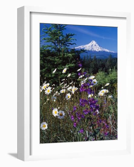 Mt. Hood V-Ike Leahy-Framed Photographic Print