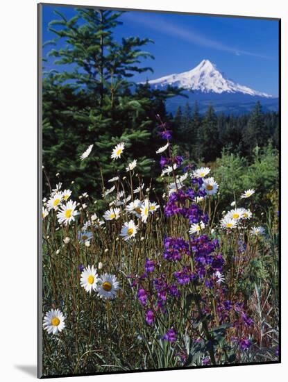 Mt. Hood V-Ike Leahy-Mounted Photographic Print