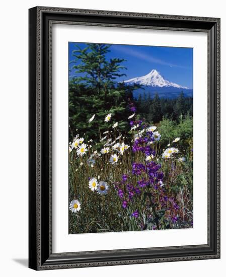 Mt. Hood V-Ike Leahy-Framed Photographic Print