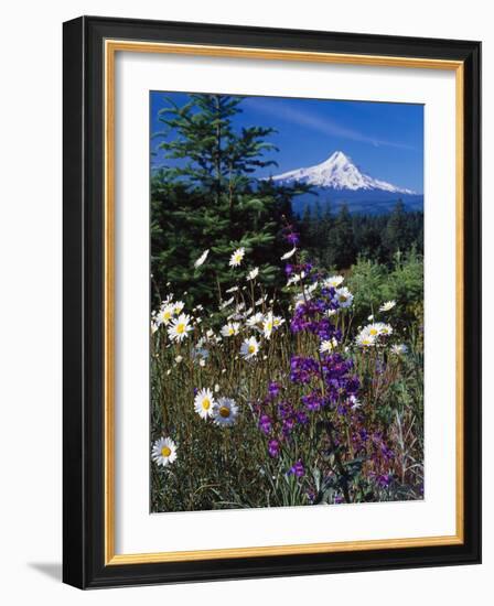 Mt. Hood V-Ike Leahy-Framed Photographic Print