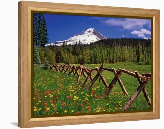 Mt. Hood Viewed from Summit Meadows-Steve Terrill-Framed Premier Image Canvas