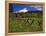 Mt. Hood Viewed from Summit Meadows-Steve Terrill-Framed Premier Image Canvas