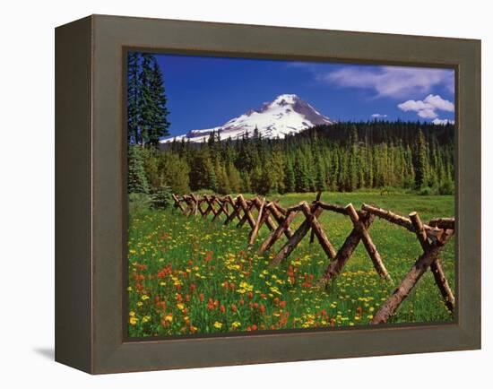 Mt. Hood Viewed from Summit Meadows-Steve Terrill-Framed Premier Image Canvas