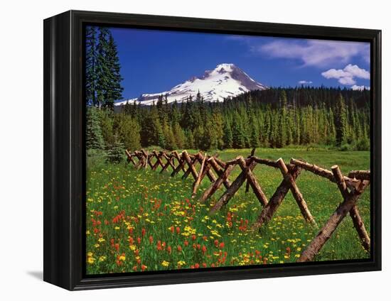 Mt. Hood Viewed from Summit Meadows-Steve Terrill-Framed Premier Image Canvas