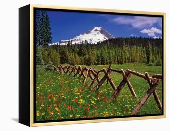 Mt. Hood Viewed from Summit Meadows-Steve Terrill-Framed Premier Image Canvas