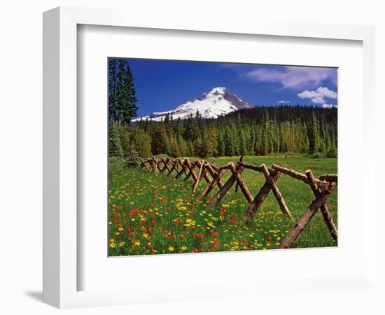 Mt. Hood Viewed from Summit Meadows-Steve Terrill-Framed Photographic Print