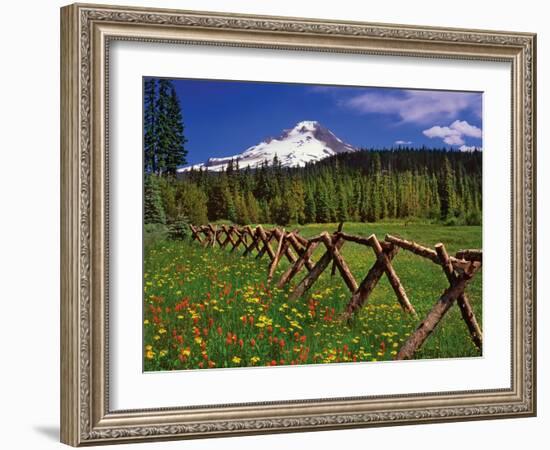 Mt. Hood Viewed from Summit Meadows-Steve Terrill-Framed Photographic Print