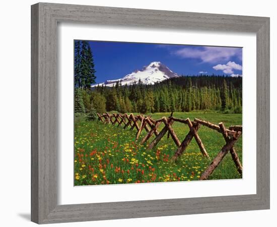 Mt. Hood Viewed from Summit Meadows-Steve Terrill-Framed Photographic Print