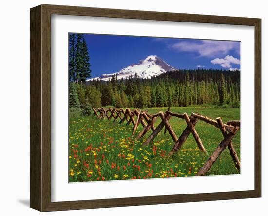 Mt. Hood Viewed from Summit Meadows-Steve Terrill-Framed Photographic Print