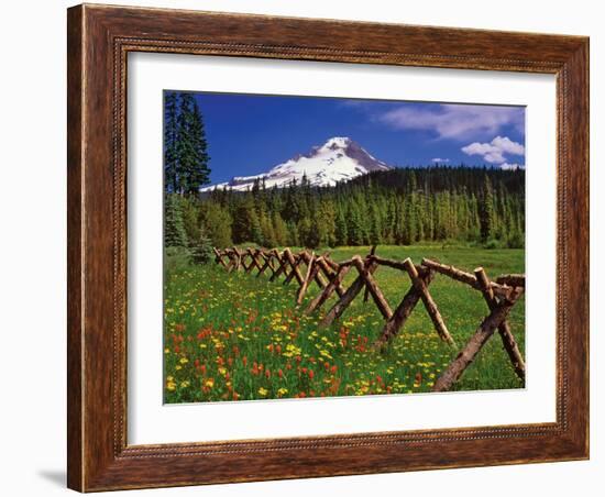 Mt. Hood Viewed from Summit Meadows-Steve Terrill-Framed Photographic Print