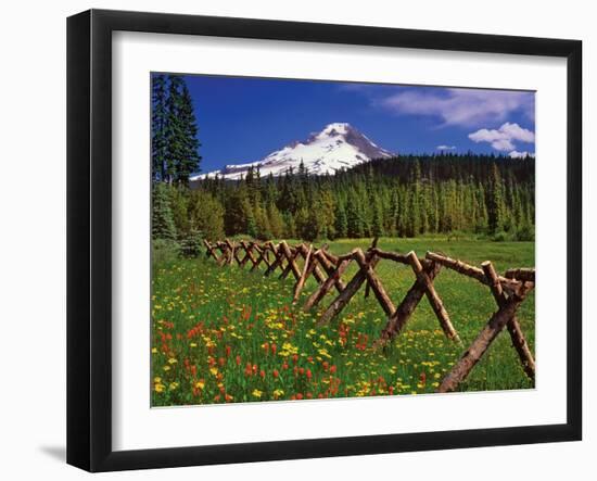 Mt. Hood Viewed from Summit Meadows-Steve Terrill-Framed Photographic Print