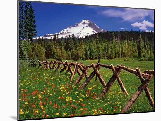 Mt. Hood Viewed from Summit Meadows-Steve Terrill-Mounted Photographic Print