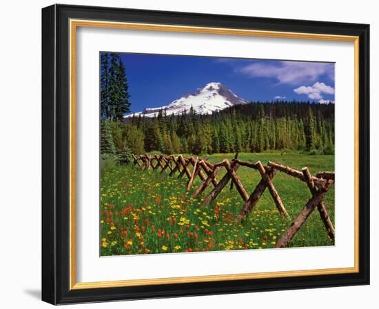 Mt. Hood Viewed from Summit Meadows-Steve Terrill-Framed Photographic Print