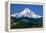 Mt. Hood XI-Ike Leahy-Framed Premier Image Canvas