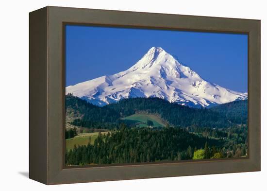 Mt. Hood XI-Ike Leahy-Framed Premier Image Canvas