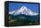 Mt. Hood XI-Ike Leahy-Framed Premier Image Canvas