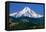 Mt. Hood XI-Ike Leahy-Framed Premier Image Canvas