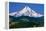 Mt. Hood XI-Ike Leahy-Framed Premier Image Canvas