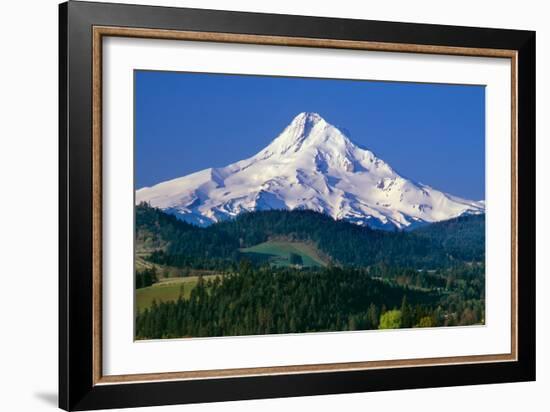 Mt. Hood XI-Ike Leahy-Framed Photographic Print