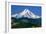 Mt. Hood XI-Ike Leahy-Framed Photographic Print