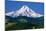 Mt. Hood XI-Ike Leahy-Mounted Photographic Print