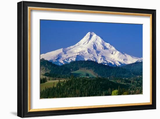 Mt. Hood XI-Ike Leahy-Framed Photographic Print