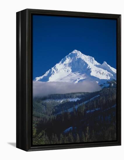 Mt. Hood XIII-Ike Leahy-Framed Premier Image Canvas