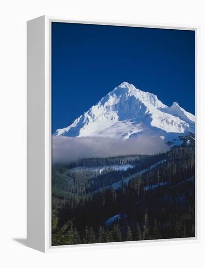 Mt. Hood XIII-Ike Leahy-Framed Premier Image Canvas