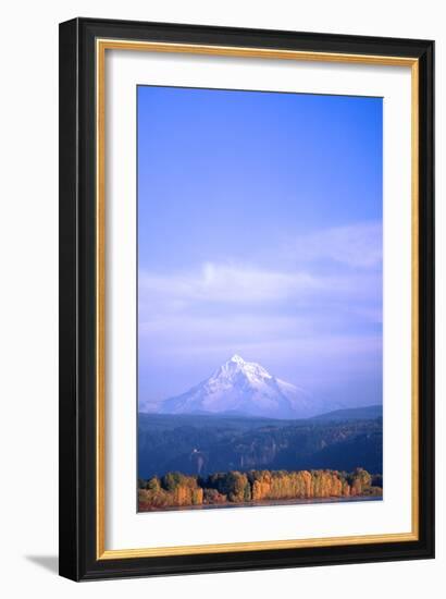 Mt. Hood XIX-Ike Leahy-Framed Photographic Print