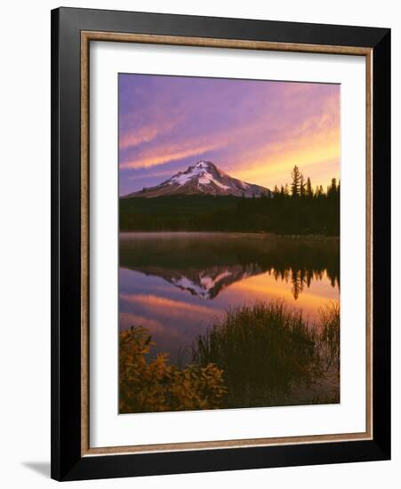 Mt. Hood XVI-Ike Leahy-Framed Photographic Print