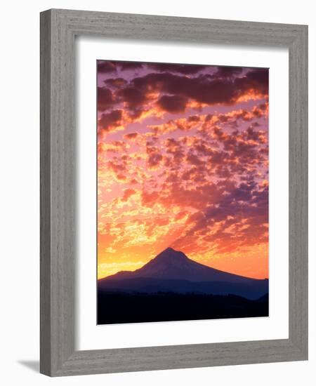 Mt. Hood XXII-Ike Leahy-Framed Photographic Print