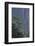 Mt. Huangshan Pine Trees-DLILLC-Framed Photographic Print