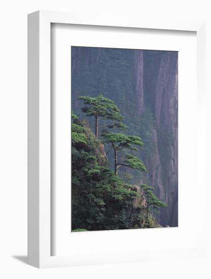 Mt. Huangshan Pine Trees-DLILLC-Framed Photographic Print