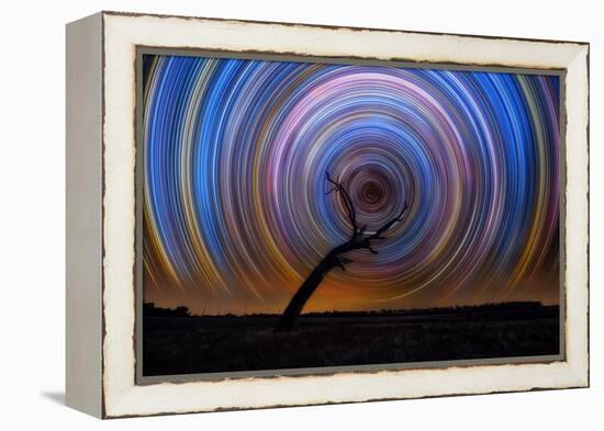 mt-ida-10-Lincoln Harrison-Framed Stretched Canvas