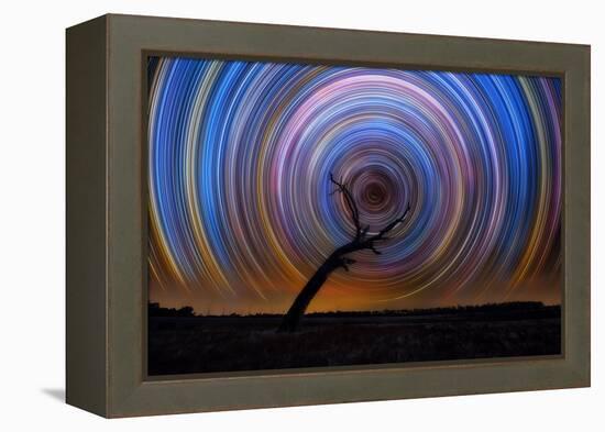 mt-ida-10-Lincoln Harrison-Framed Stretched Canvas