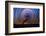 mt-ida-10-Lincoln Harrison-Framed Photo