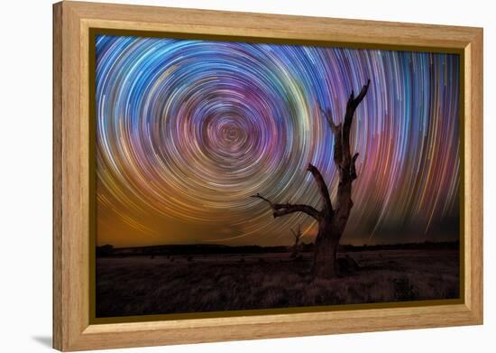 mt-ida-10-Lincoln Harrison-Framed Stretched Canvas