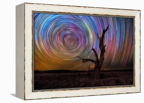 mt-ida-10-Lincoln Harrison-Framed Stretched Canvas